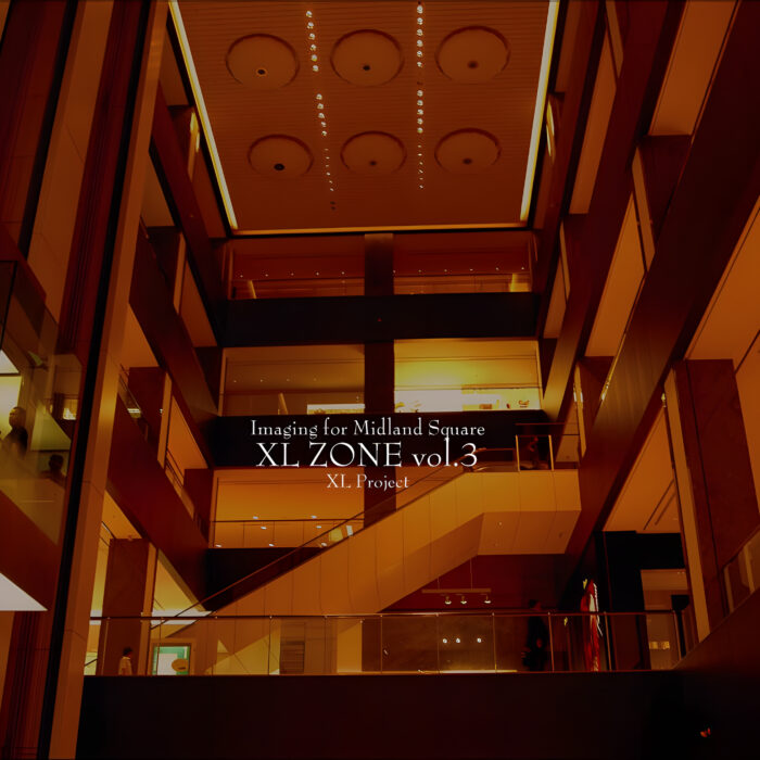 XLPS-0014 – XL ZONE vol.3 (Original Album)